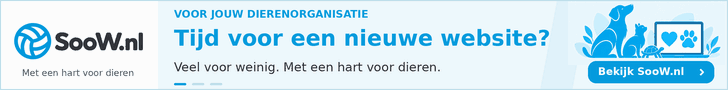 Website bij Soow.nl ?